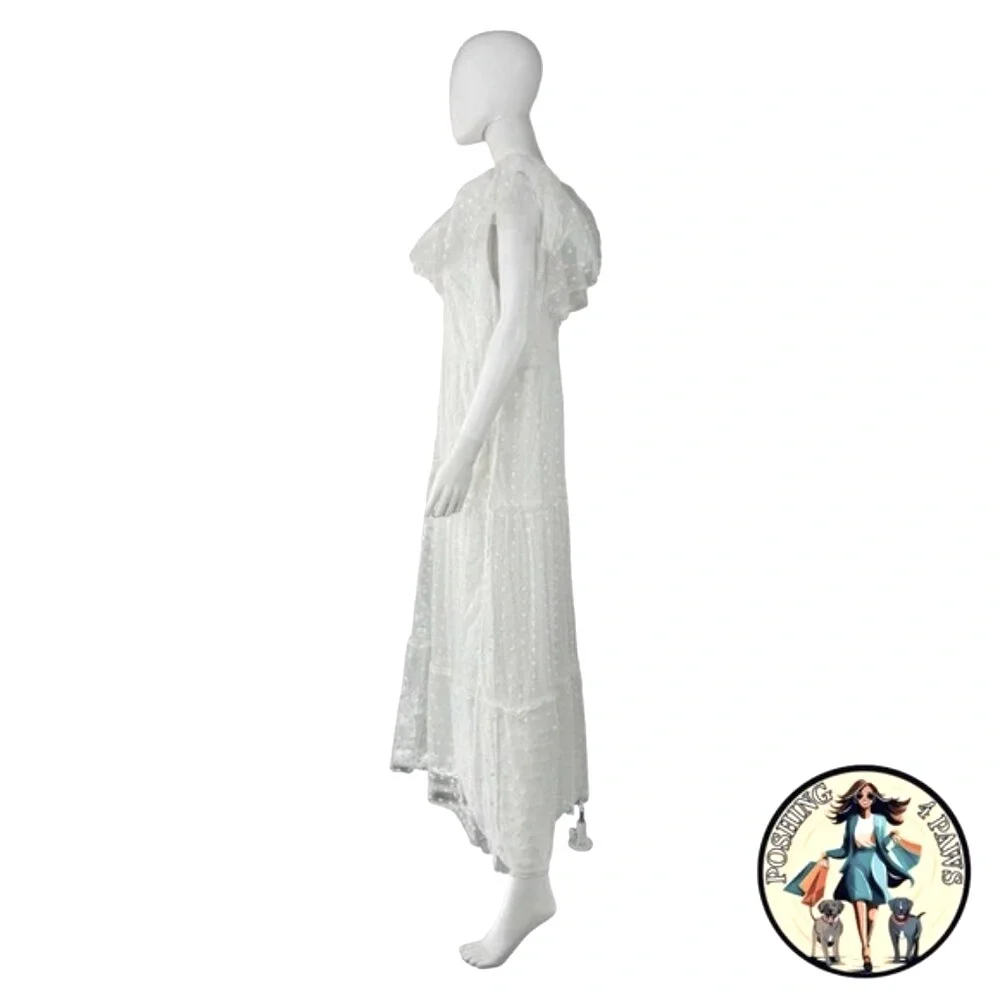 Tuckernuck | NEW White Onyx Tulle Giselle Formal Embroidered Maxi Gown Size S